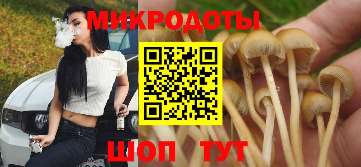 Тельмана  Псилоцибиновые грибы Cubensis  Вход с VPN 