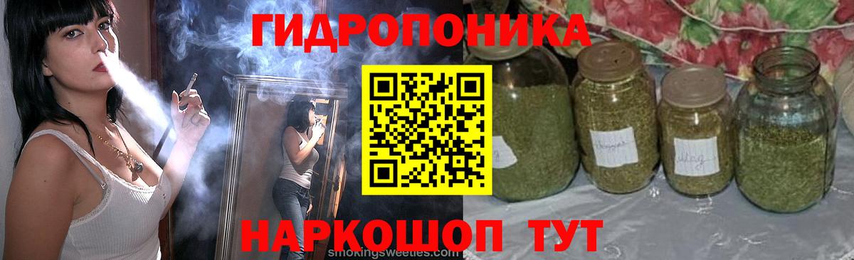 Тельмана  Бошки Шишки марихуана  Марихуана гибрид  Бошки Шишки Bruce Banner  Вход с VPN 